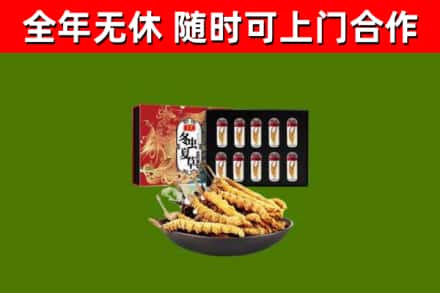 忻府烟酒回收冬虫夏草礼盒.jpg
