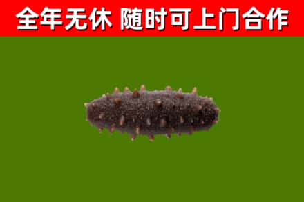 忻府回收海参干